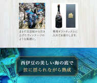 海底熟成ワインVOYAGE【 シャンパン 白 2010】 海底貯蔵 ワイン