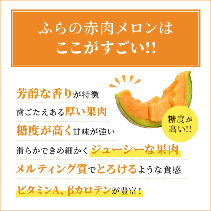令和8年産】ふらの 赤肉メロン 厳選 甘味 Mサイズ 1.35kg～1.6kg 6玉