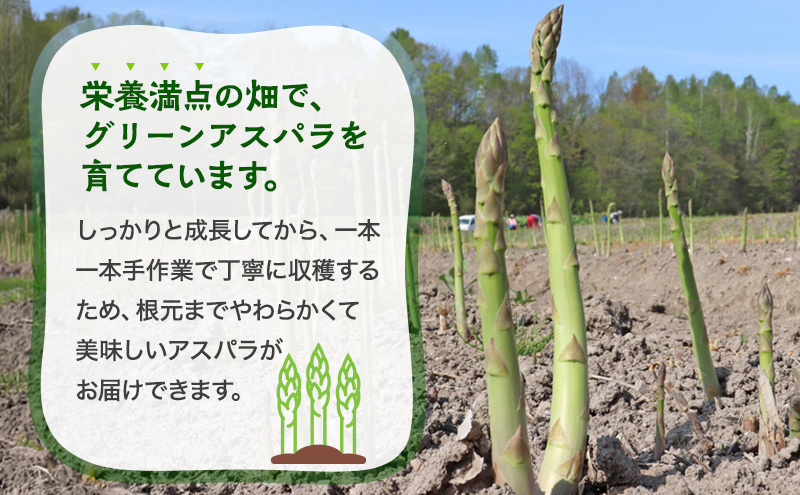 令和9年産】2027年発送 先行予約 アスパラ専門農家の特選グリーン