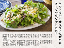 会津のかおり」蕎麦の実（まるぬき）1.6Kg | 【公式】福島県ばんだい町