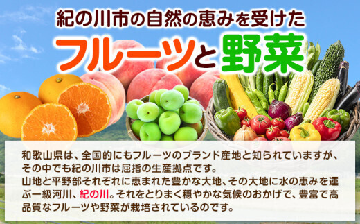 紀の川市の恵み 旬のフルーツ＆野菜セット 計8～10品《30日以内に順次