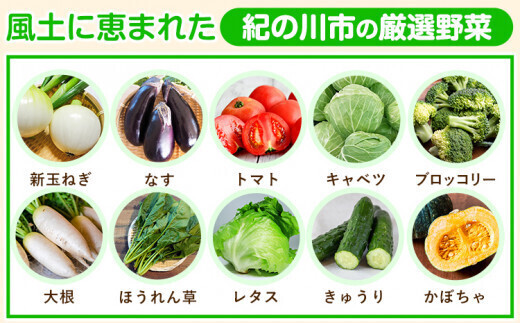 みかん様野菜セット果物追加 紀の川市の恵み 旬のフルーツ＆野菜セット 計8～10品《30日以内