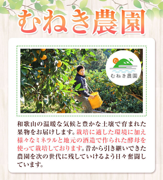 あら川の桃 約1.8kg(5～6玉入り) むねき農園《6月下旬-8月中旬頃より 