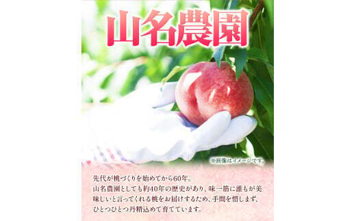 あら川の桃 約2kg 5-6玉 山名農園 《2023年6月下旬-9月中旬頃より順次