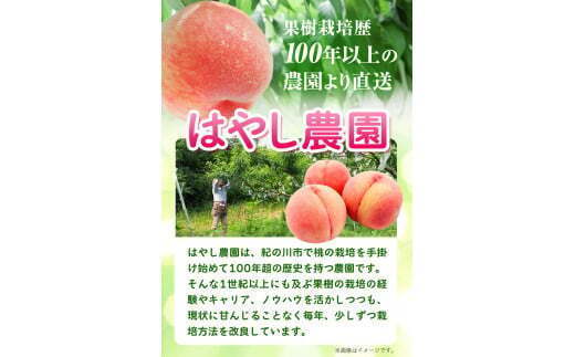 朝採り桃 はやし農園 約2kg《2023年6月中旬-8月上旬頃より順次出荷