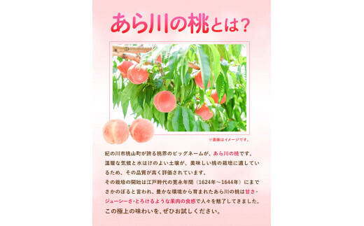あら川の桃 小箱（なつっこ・川中島）5玉入り 約1.8kg以上 稲垣農園