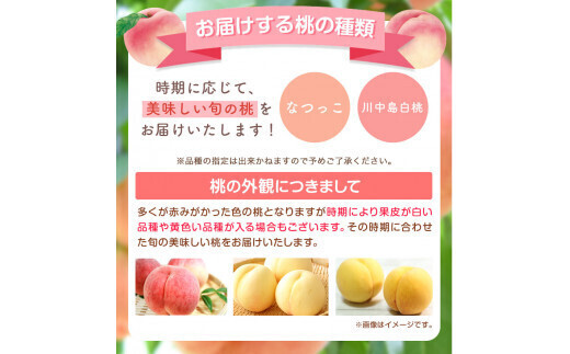 1箱限定　即発送　あらかわの桃　和歌山 6月21日収穫分　中玉15玉　茶箱 あら川の桃 小箱（なつっこ・川中島）5玉入り 約1.8kg以上 稲垣農園