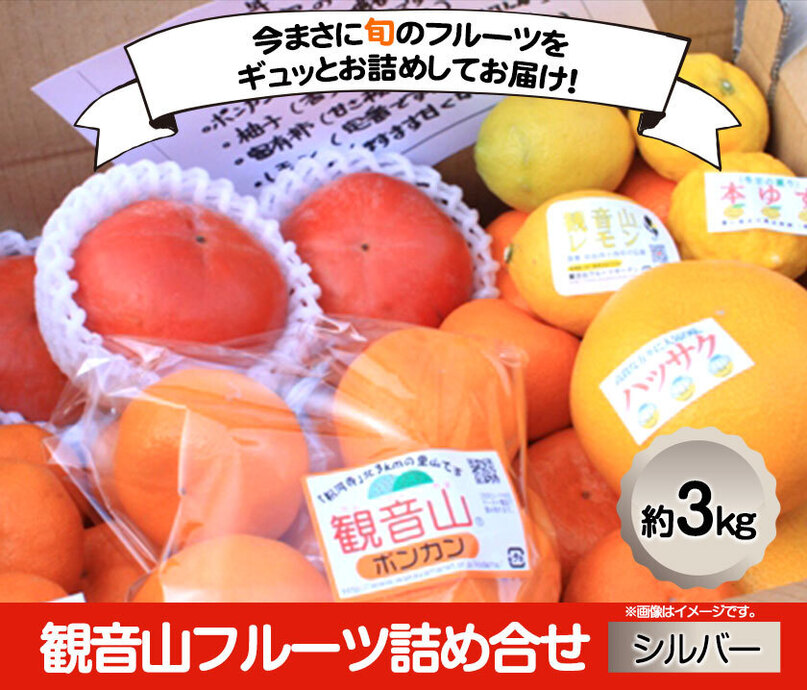 確認用  フルーツ盛り   食品 確認用 フルーツ盛り 食品
