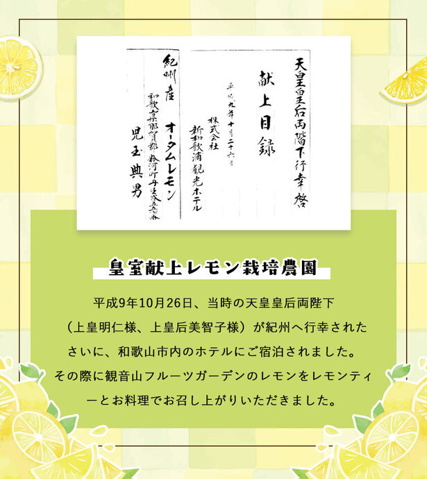 蝶々さま　専用です　１９９０年４月号　１２月号　レモン　Lemon 蝶々さま 専用です 1990年4月号 12月号 レモン Lemon
