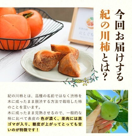 予約受付】紀の川柿 約1.8kg（6個～9個入り） にしぐち農園《2023年10