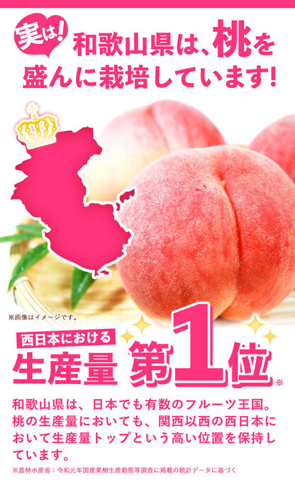 新鮮な桃 15個入り4kg 桃 和歌山 お中元 ギフト あら川の桃 4kg 15玉 中玉 青秀 高級