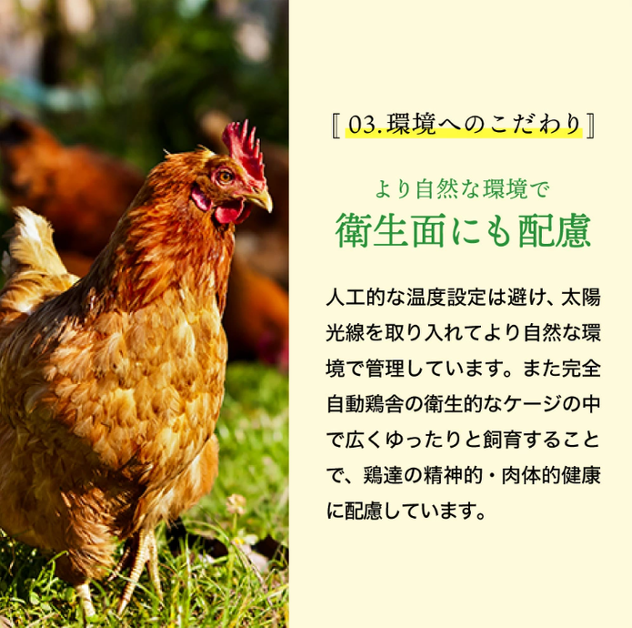 ◆たまご たまご : T&A' - 通販 - Yahoo!ショッピング