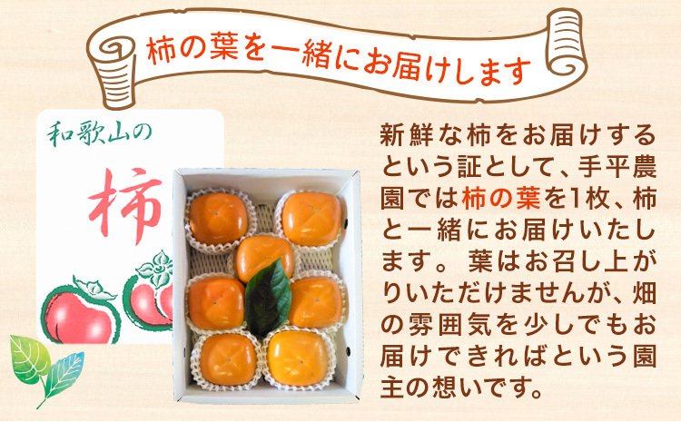 和歌山県産 紀の川柿 6~8玉 手平農園《10月上旬から11月上旬頃より順次