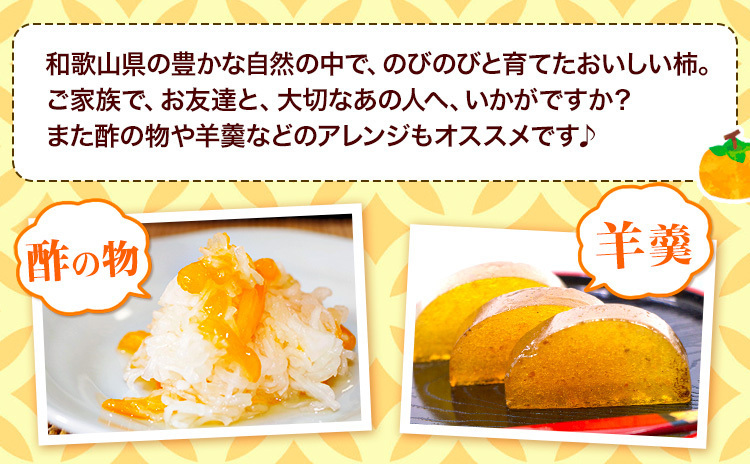 和歌山県紀の川市産 紀の川柿 約3.6kg(12玉) むねき農園《10月