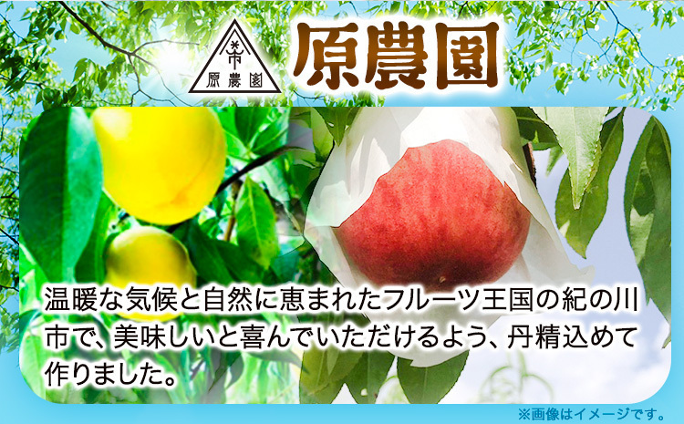 とれたて桃 旬の桃をお届け 約4kg 原農園《2024年6月中旬-8月下旬頃