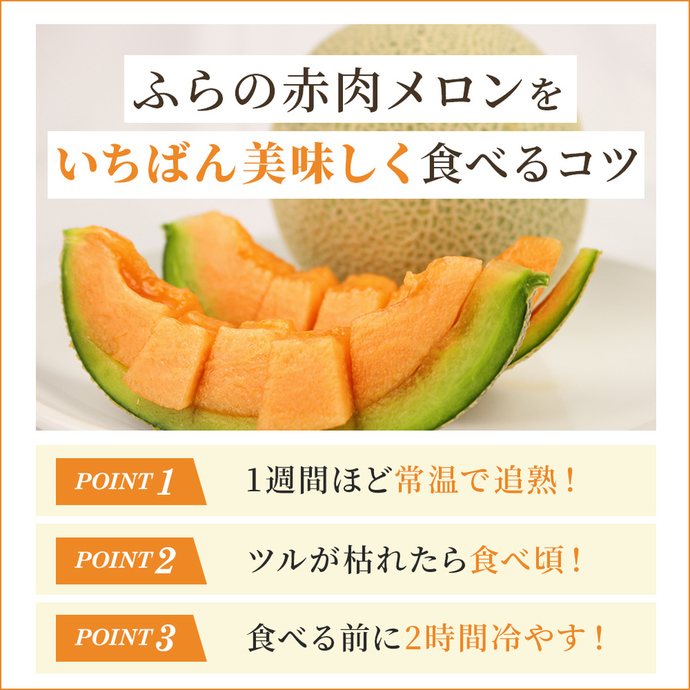 令和8年産】ふらの 赤肉メロン 厳選 甘味 Mサイズ 1.35kg～1.6kg 6玉