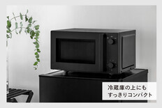 TWINBIRD フラット電子レンジ (18L) ブラック(DR-E268B) TF | 【公式