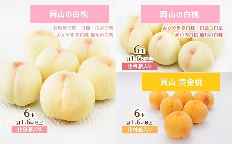 フルーツ 定期便 2027年 先行予約 岡山 の 桃 食べ比べ 定期便 3回