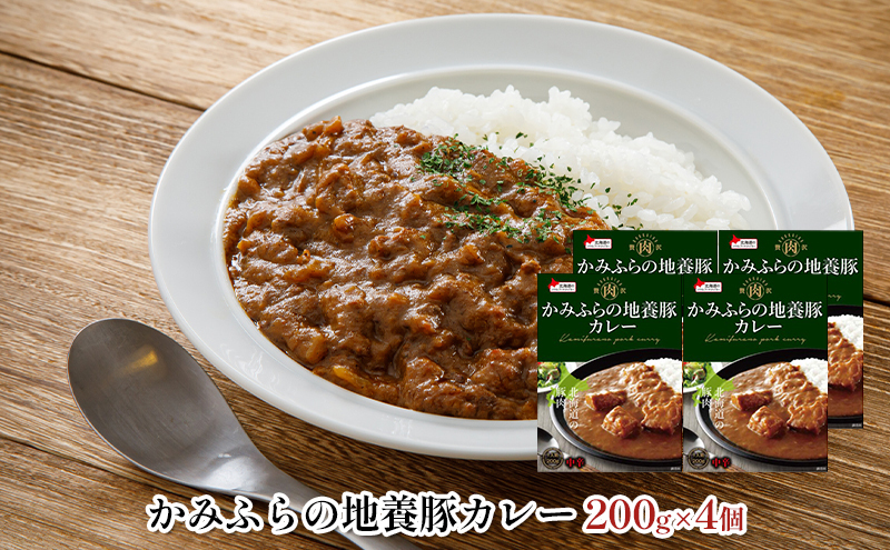 缶ビール(SORACHI1984)8缶＆地養豚カレー4箱セット 北海道 上富良野町