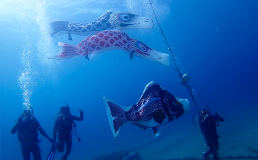 西伊豆黄金崎2ビーチダイビング(フルレンタル器材・昼食込み) マリン