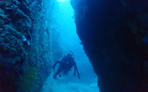 西伊豆安良里2ボートダイビング(フルレンタル器材・昼食込み) マリン