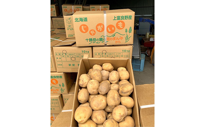 令和8年産】しんや農園のじゃがいも「とうや5kg & 男爵5kg」 計10kg