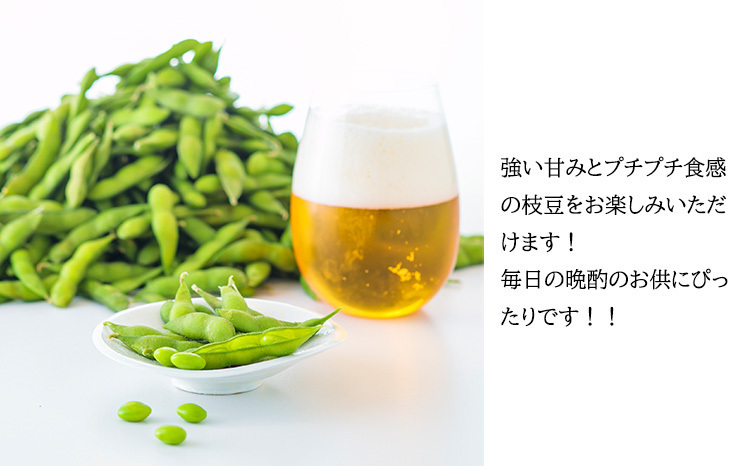 宮崎県産えだまめ3kg(500g×6袋) TF0296-P00019 | 【たかふる】宮崎県