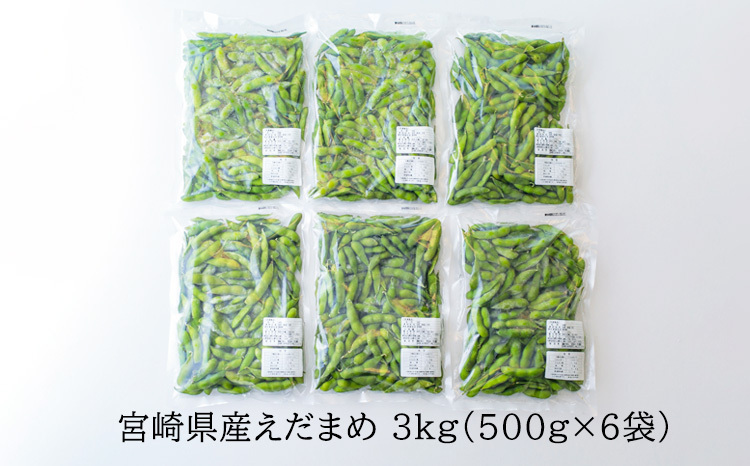 宮崎県産えだまめ3kg(500g×6袋) TF0296-P00019 | 【たかふる】宮崎県