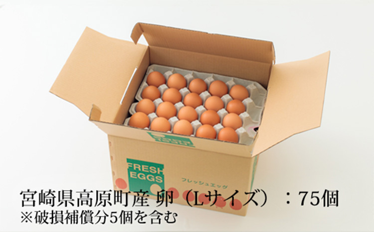 宮崎県産の新鮮たまご『きみの力(チカラ)』75個Lサイズの卵 ミネラル