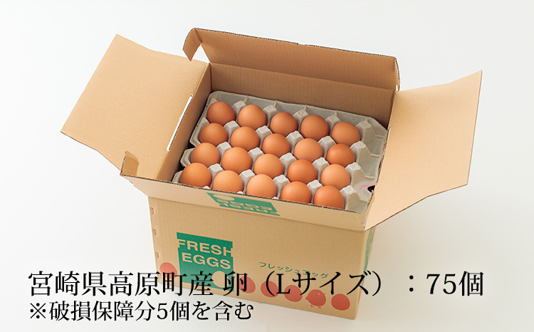 宮崎県産の新鮮たまご『きみの力(チカラ)』75個Lサイズの卵 ミネラル