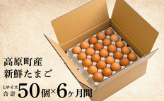 当サイト限定品》【定期便】年6回×50個 計300個 宮崎県産きみの力