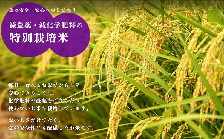先行受付!新米】《2025年産(令和7年産)》霧島湧水が育む