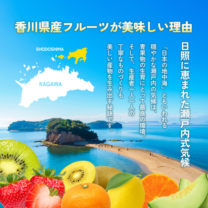 みかん 小豆島 瀬戸内 約3kg L～2Sサイズ 小豆島みかん 島みかん 潮風