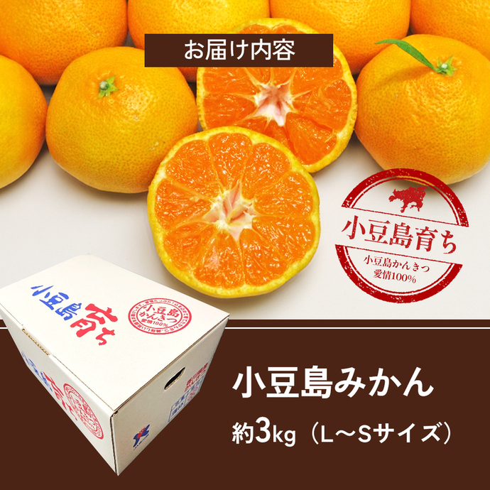 みかん 小豆島 瀬戸内 約3kg L～2Sサイズ 小豆島みかん 島みかん 潮風