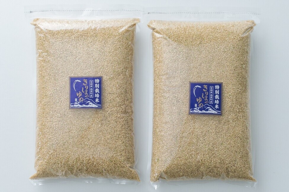 2024年産 はさ掛けヒノヒカリ 玄米 10kg ヒノヒカリ 米 お米 10kg 熊本県産 令和6年産 玄米10 kg 精米9kg