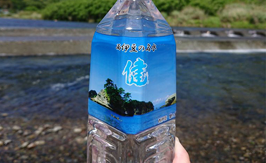 西伊豆の名水「健」24本セット 水 大沢里 仁科 中硬水 ミネラル