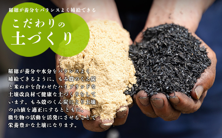 新米 令和6年産 霧島湧水が育む「きりしまのゆめ」夏の笑み12kg