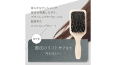 WAVEWAVE EMS Brush Air クッションブラシ ゴールド [AG232-NT