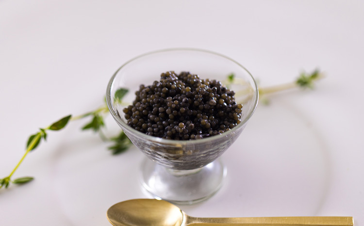 THE・CAVIAR 5種食べ比べセット』各10g(計50g) 国産キャビア TF0662