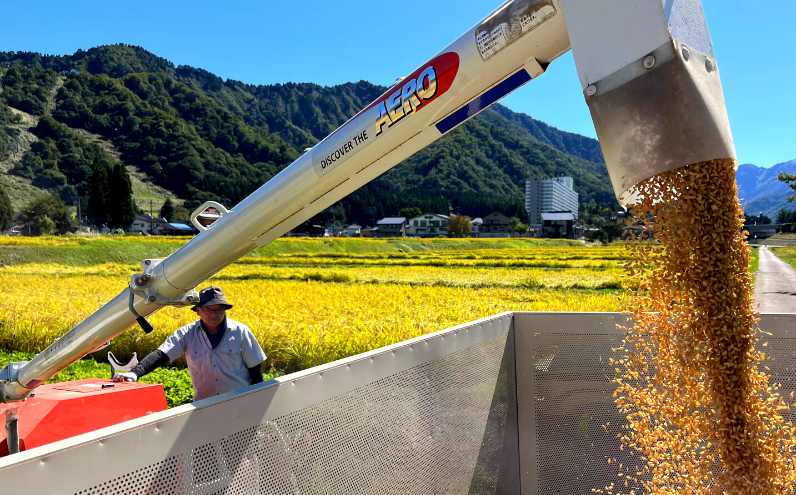 令和6年産【精米5kg/6回定期便】谷川連峰の清流で育ったブランド米「福