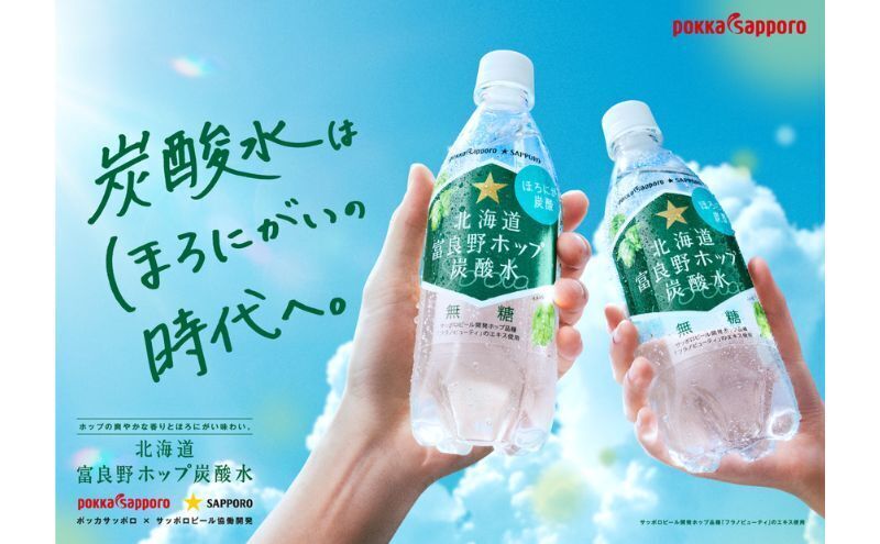 北海道 定期便 3ヵ月 連続 全3回 炭酸水 500ml × 24本 北海道富良野