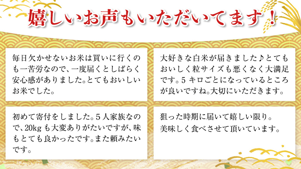 3月上旬発送 / 数量限定 】新米 茨城県産 2種 食べ比べ 精米
