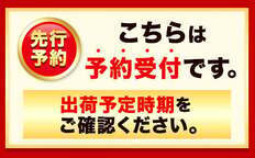 ＜先行予約＞紀の川市産 黒あま 種なし 約2kg（6～9玉前後）4L～2Lサイズ《2025年10月中旬-11月末頃出荷》和歌山県 紀の川市 たねなし柿 くろあま 高級 産地直送 かき 柿 カキ 果物 フルーツ---wfn_wlocal81_10c11m_25_10000_2kg---
