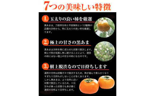 ＜先行予約＞紀の川市産 黒あま 種なし 約2kg（6～9玉前後）4L～2Lサイズ《2025年10月中旬-11月末頃出荷》和歌山県 紀の川市 たねなし柿 くろあま 高級 産地直送 かき 柿 カキ 果物 フルーツ---wfn_wlocal81_10c11m_25_10000_2kg---