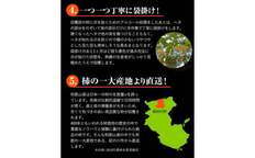 ＜先行予約＞紀の川市産 黒あま 種なし 約2kg（6～9玉前後）4L～2Lサイズ《2025年10月中旬-11月末頃出荷》和歌山県 紀の川市 たねなし柿 くろあま 高級 産地直送 かき 柿 カキ 果物 フルーツ---wfn_wlocal81_10c11m_25_10000_2kg---