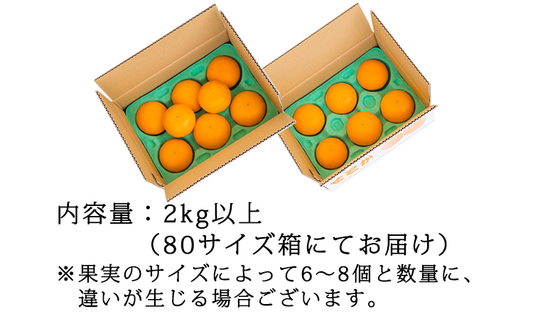 期間限定》柑橘の高級ブランド「せとか」 オレンジ色のみずみずしい