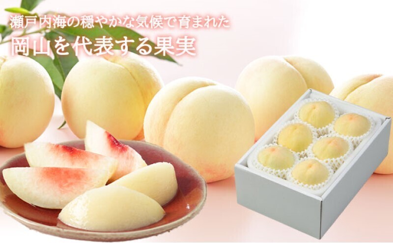 桃 2026年 先行予約 岡山 白桃 ロイヤル 4～8玉 1.2kg 岡山県産 JA