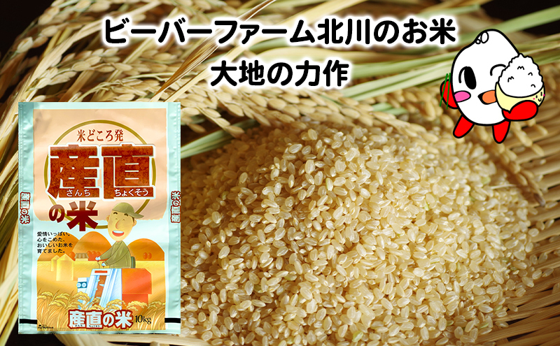ななつぼし 米 10kg 玄米 令和6年産 北海道産 お米 こめ ご飯 ごはん