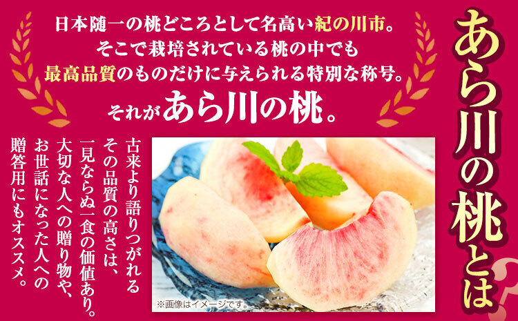 先行予約 秀品 あら川の桃 約2kg (5～8玉) 旬の品種をお届け！ もも
