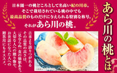 先行予約 秀品 あら川の桃 約2kg (5～8玉) 旬の品種をお届け！ もも